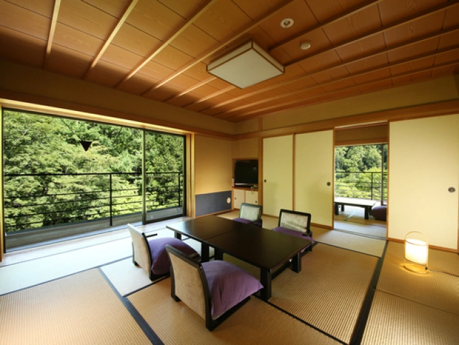 Deluxe Double room with mountain view