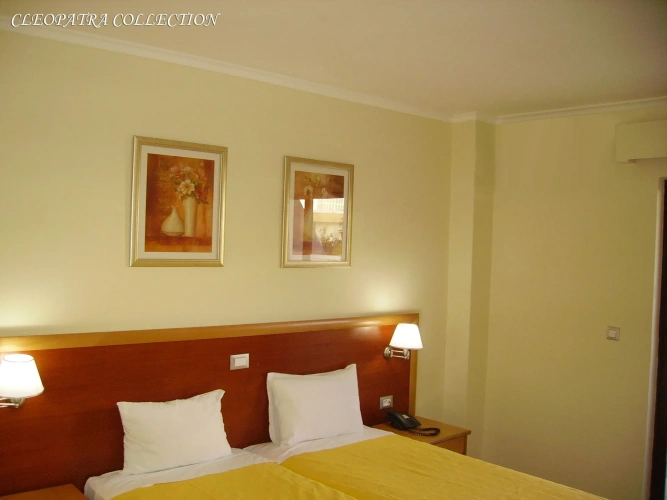 Standard Double room with balcony and with view