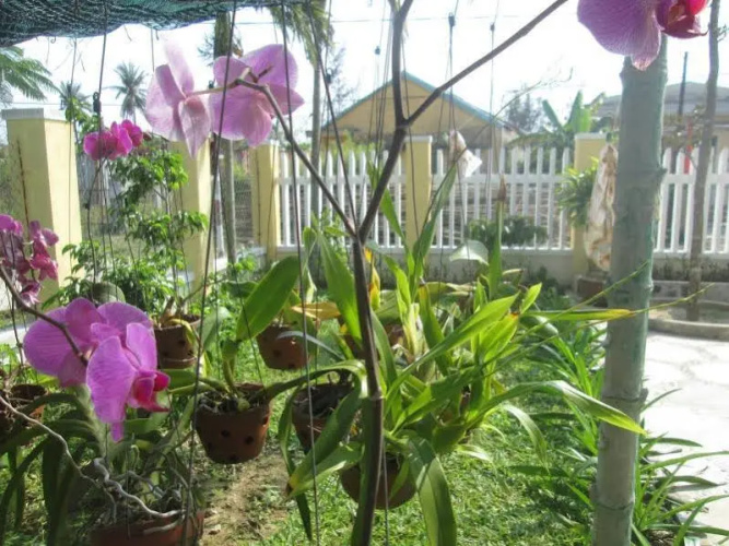 Thuan Phong Homestay