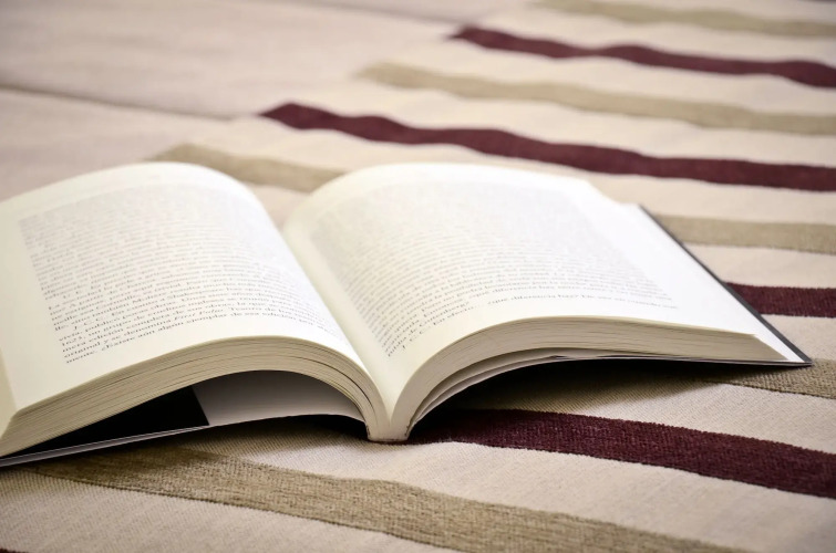 Hotel Del ComahueOver view