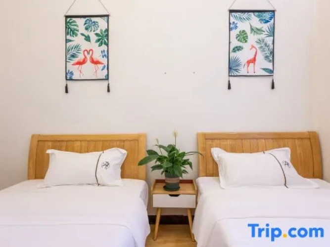 Economy Twin room