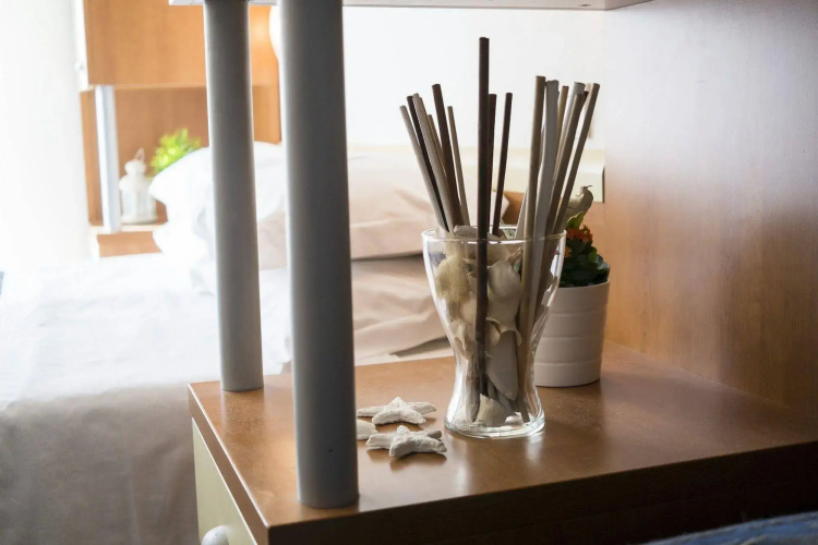 Hotel Jana