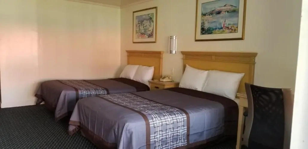 Standard Double room