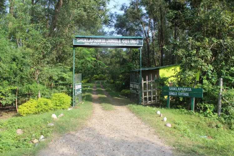 Suklaphanta Jungle Cottage