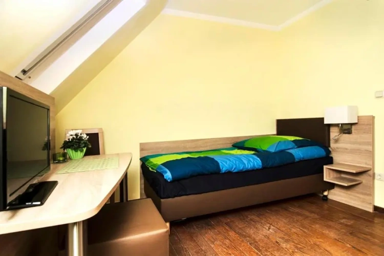 Standard Single room with view