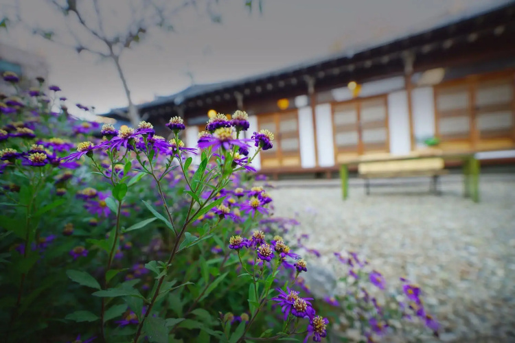 Jeonju Village Skylove