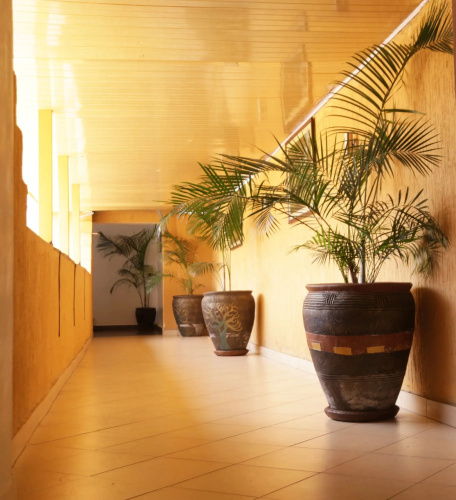 Elite Suites Hotel