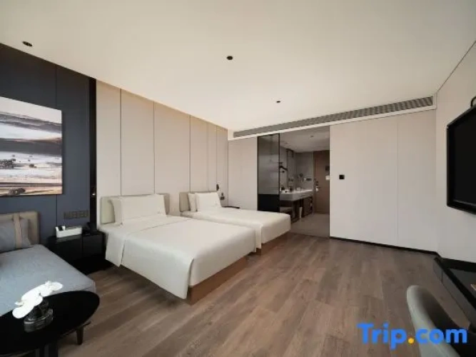 Executive Twin room with land view