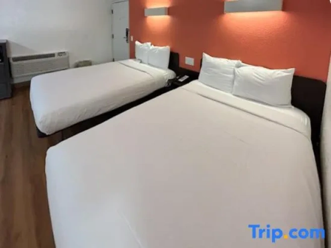 Quadruple Suite