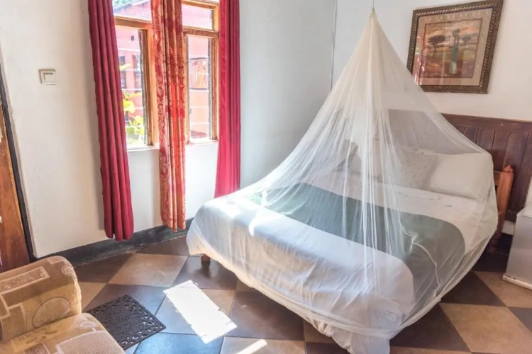 Standard Double room with view