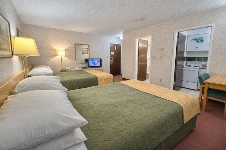 Superior Quadruple Suite