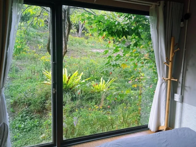 Standard Double room with garden view