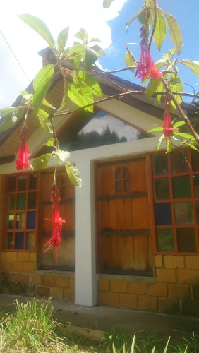 The Lost Leprechaun Ecohostel