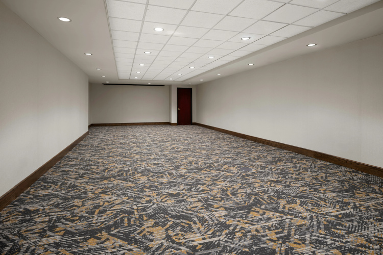 Embassy Suites by Hilton Lincoln photo 18