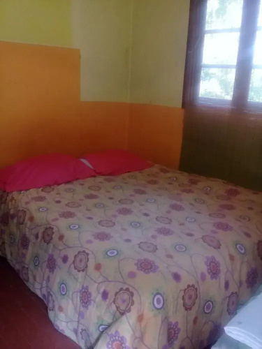 Oasis Guest House