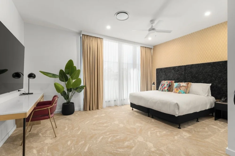 Executive Double Suite