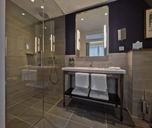 Premium Double room with balcony and with city view