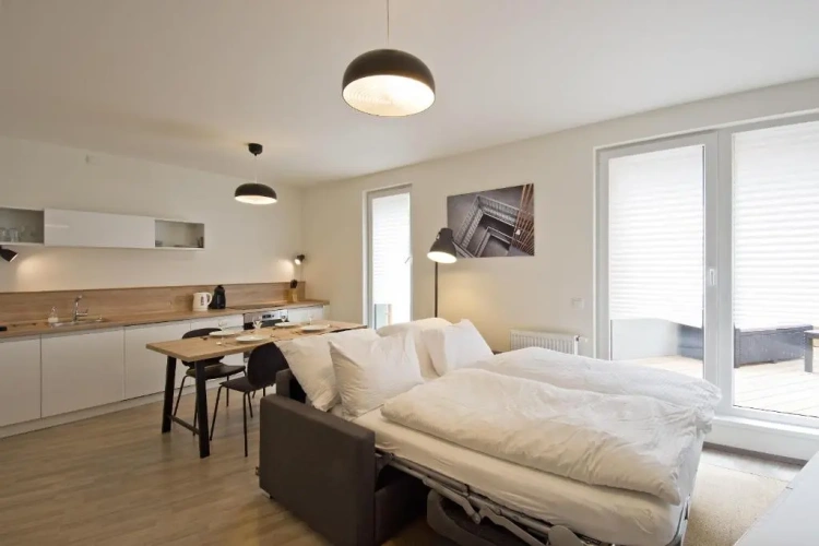 1 Bedroom Apartment