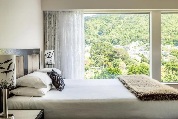 Premier Studio with view