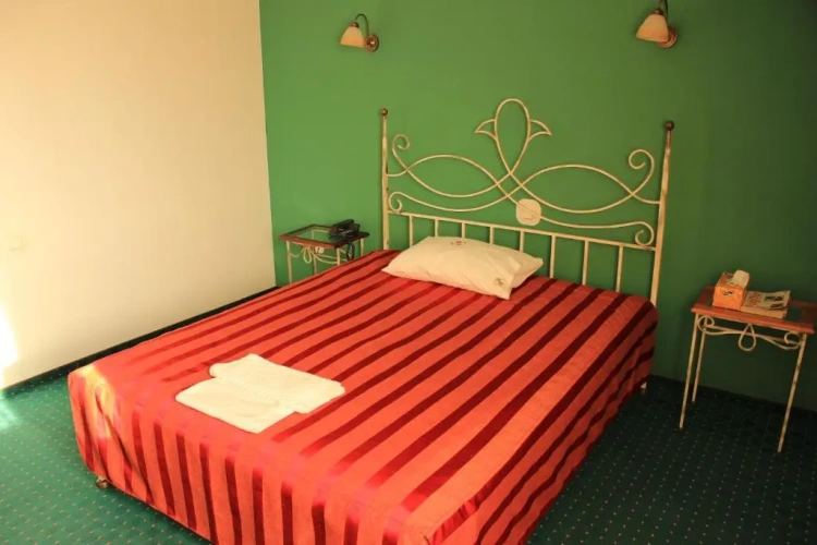 Standard Twin room with view