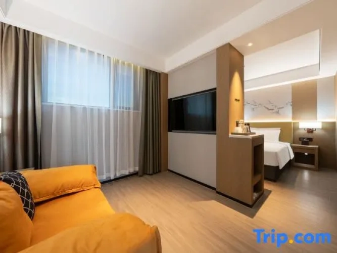 Single Suite