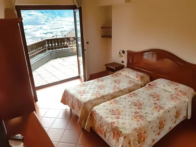 Business Double room with balcony and with mountain view