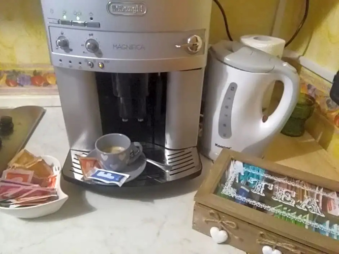 B&B Tulipano