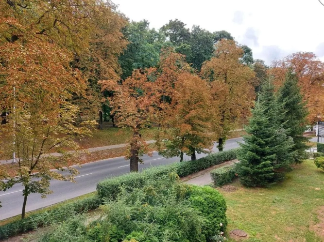 2 Bedrooms Triple Apartment