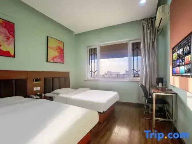Standard Twin room with city view