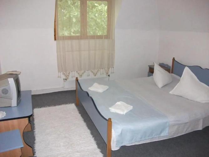 Standard Double room with balcony and with view