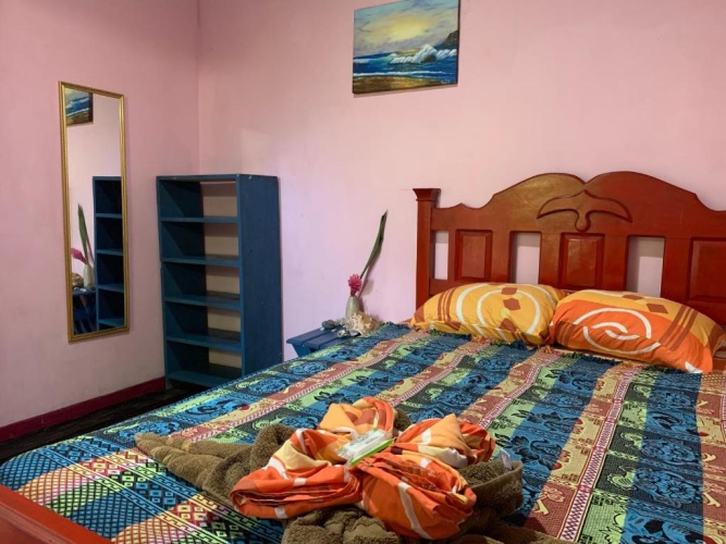 Standard Double room with garden view