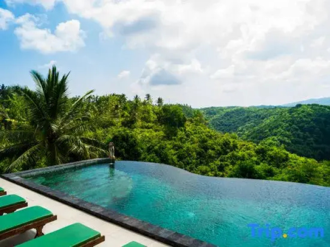 Green Coco Suite by AGATA