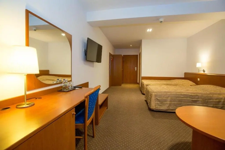Standard Double room with balcony and with sea view