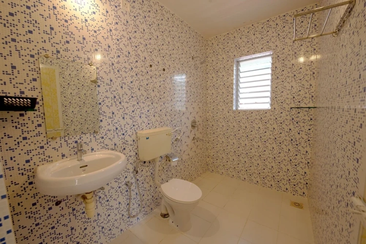 1 Bedroom Deluxe Double Apartment with balcony