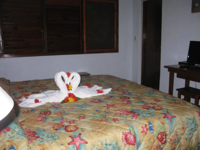 Hotel Palococo