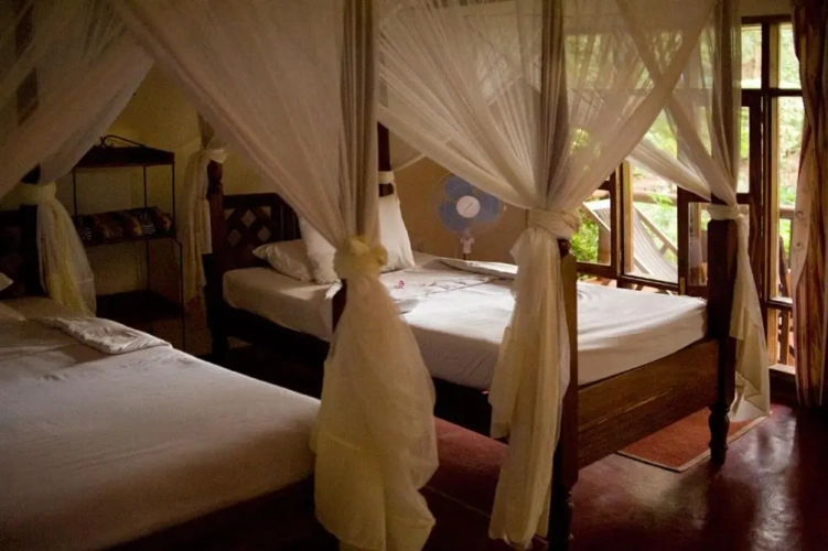 Comfort Triple room