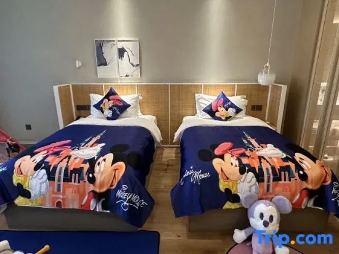 Standard Twin Family room