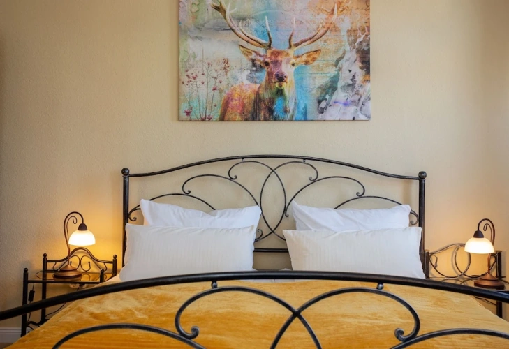Standard Double room with park view