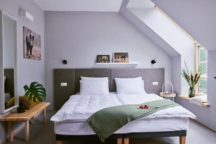 Deluxe Double room