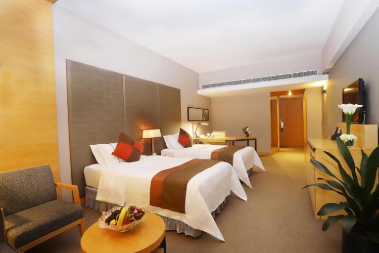 Deluxe Twin room