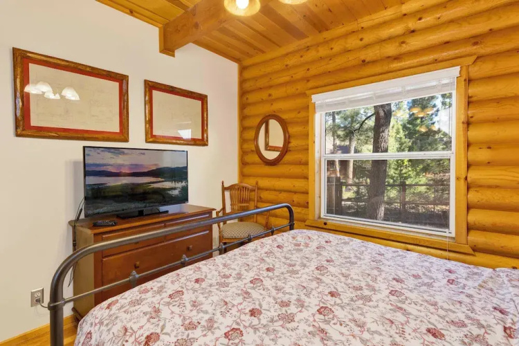 Cub's Cabin #2561