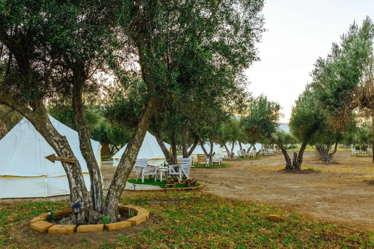 Guadalupe Valle Glamping