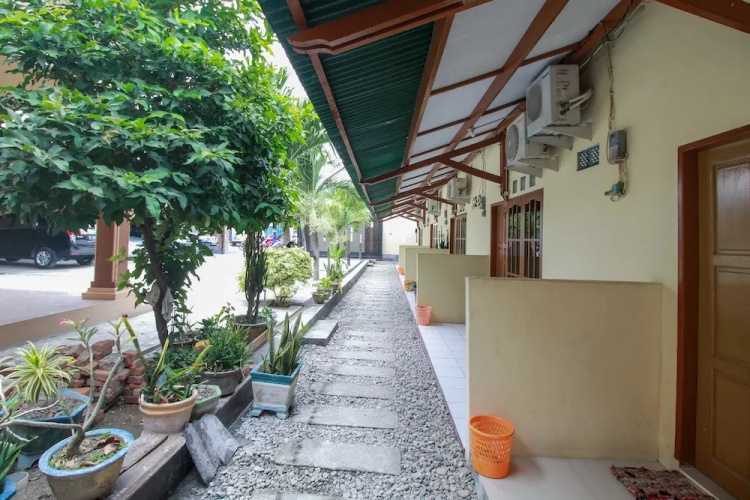 Airy Eco Tatura Zebra Raya 45 Palu