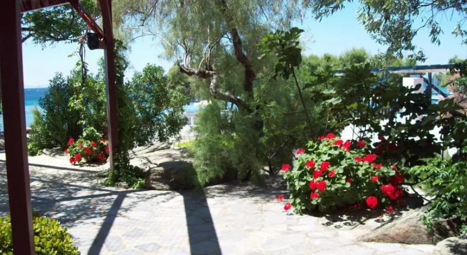 Oasis studios