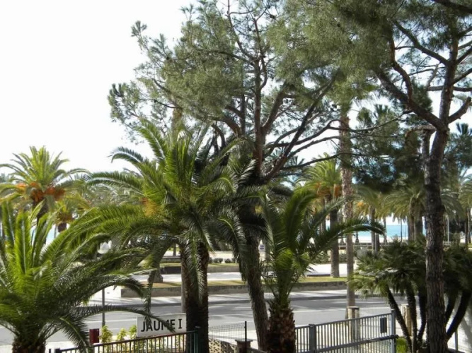 Apartamentos Jaime I Arysal