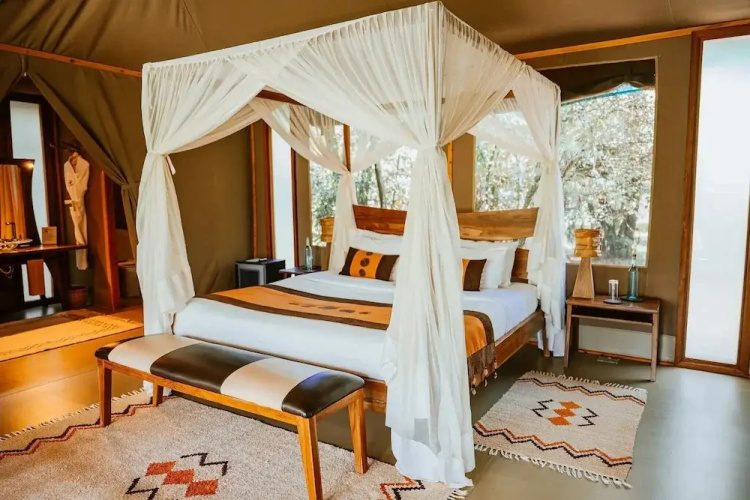 Soroi Luxury Migration Camp