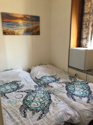 Economy Twin room