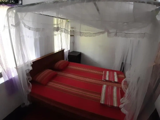 3 Bedrooms Apartment