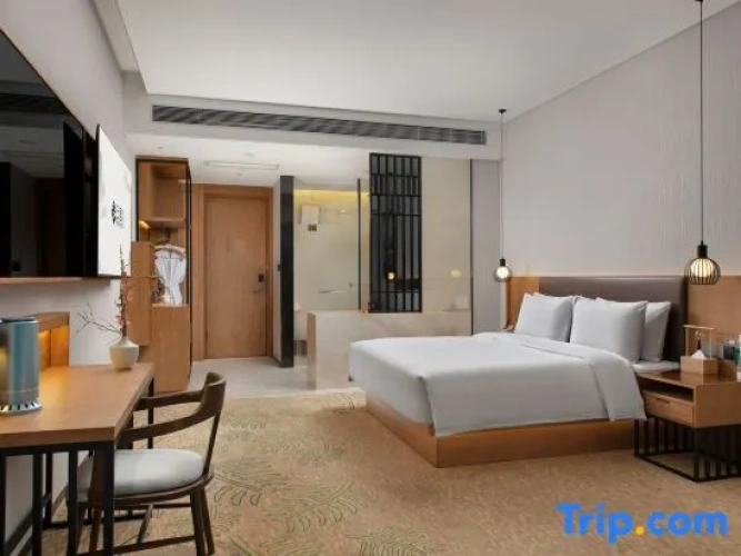 Standard Double room with city view