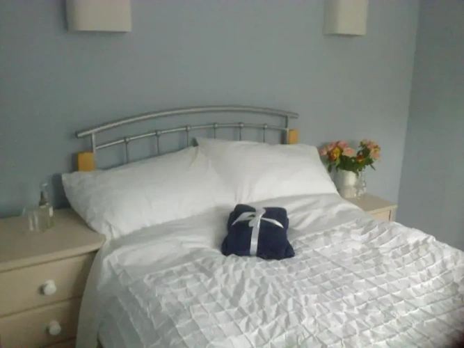 Standard Double room with garden view